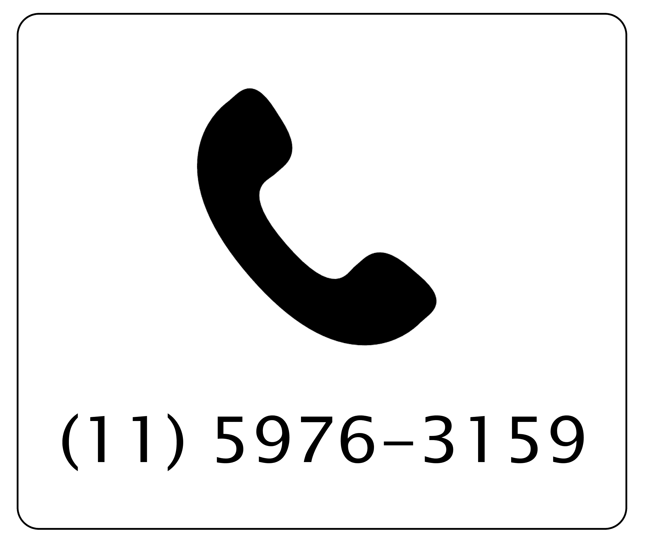 Dedetização de pulgas